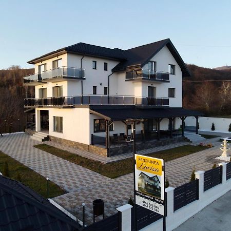 Casa De Vacanta Larisa Novaci-Străini Dış mekan fotoğraf