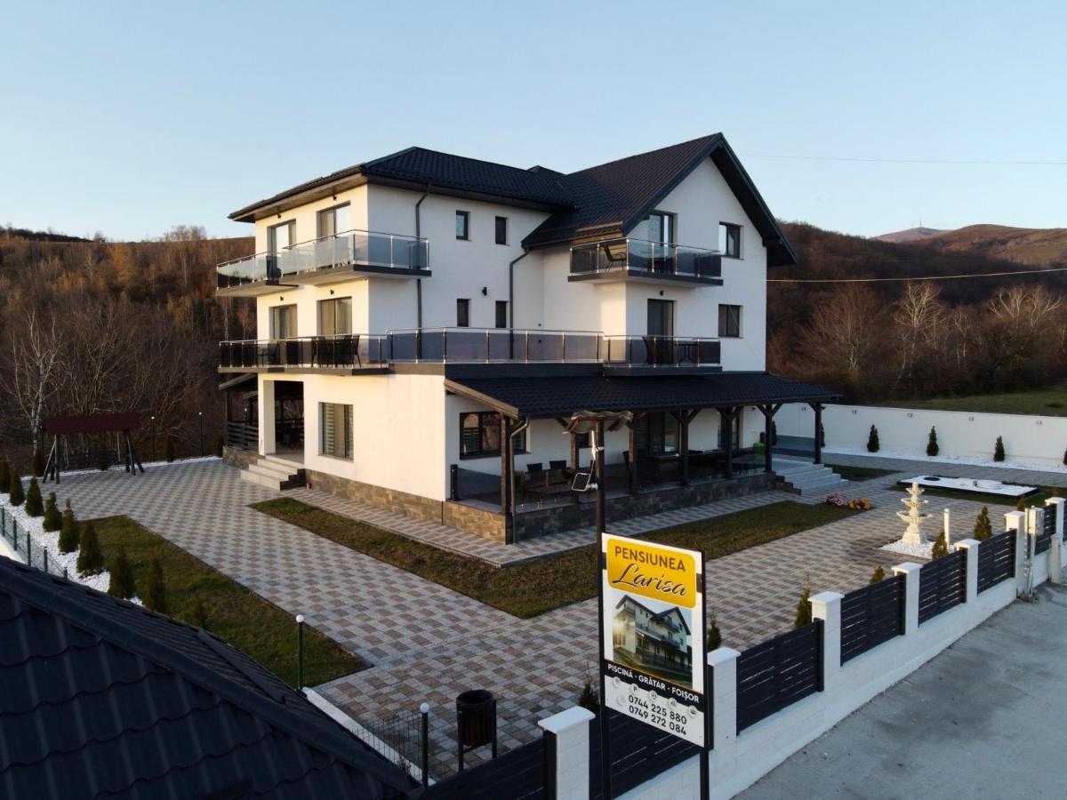 Casa De Vacanta Larisa Novaci-Străini Dış mekan fotoğraf