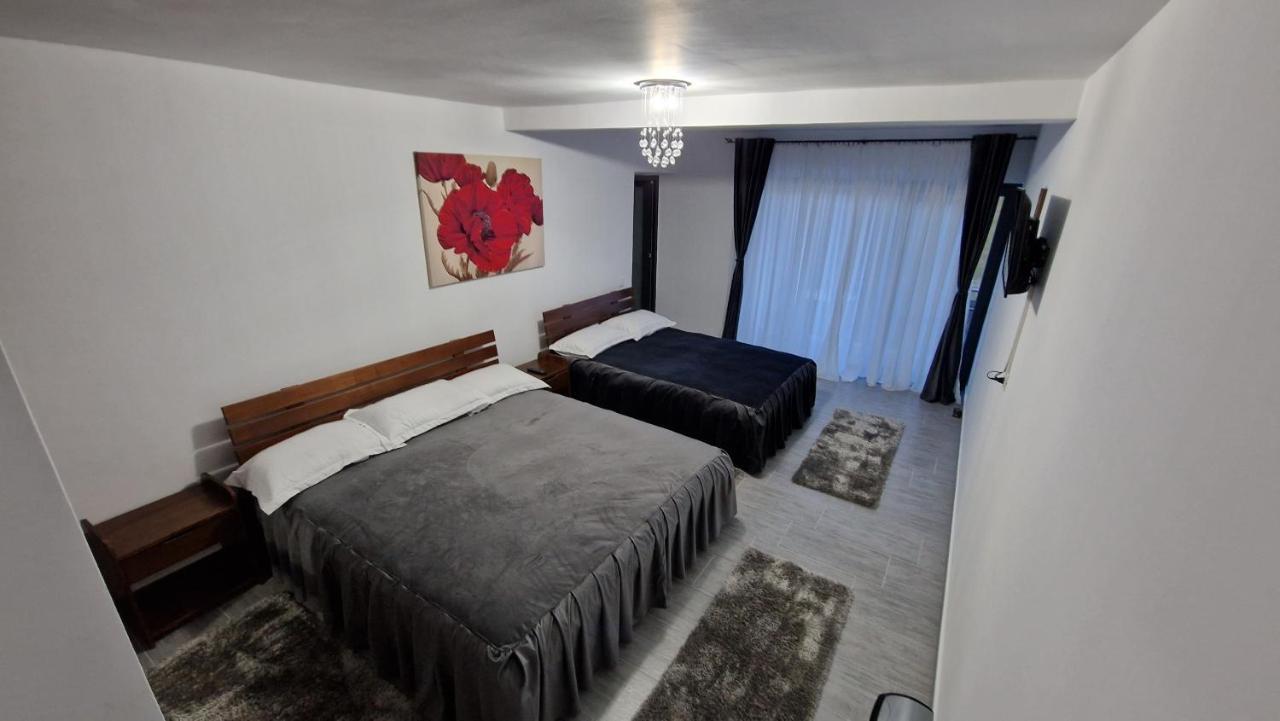 Casa De Vacanta Larisa Novaci-Străini Dış mekan fotoğraf