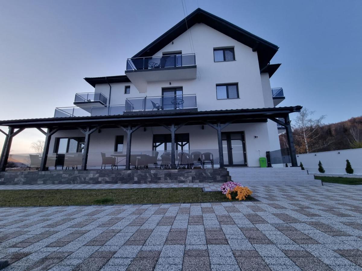 Casa De Vacanta Larisa Novaci-Străini Dış mekan fotoğraf