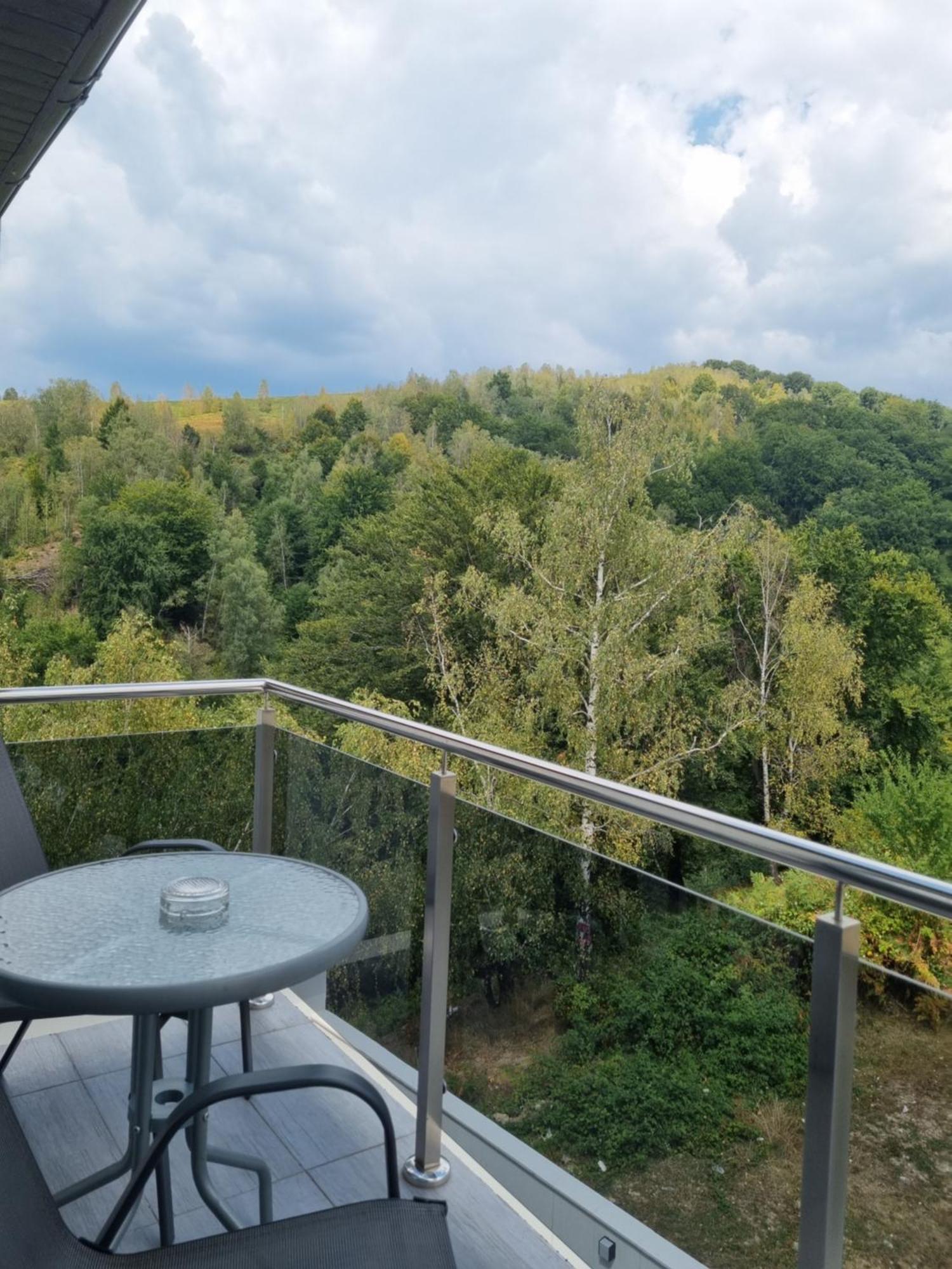 Casa De Vacanta Larisa Novaci-Străini Oda fotoğraf